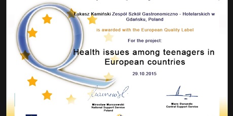 Powiększ grafikę: europejska-odznaka-jakosci-dla-projektu-etwinning-health-issues-among-teenagers-in-european-countries-13647.jpg