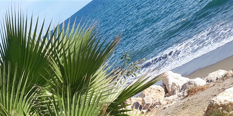 Powiększ grafikę: promenada nad morzem, plaża de la Caleta, w Maladze - widok na morze, głazy i rośliny 