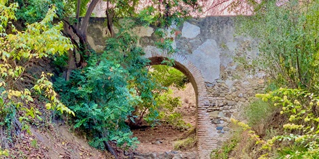 Powiększ grafikę: mostek w Ogrodzie Botanicznym 