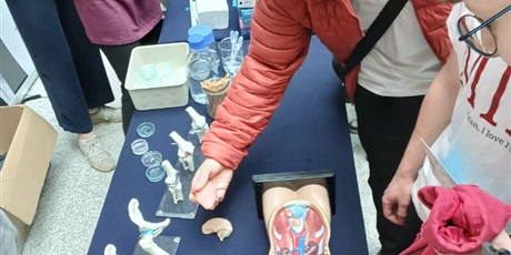 Powiększ grafikę: 2m na Bałtyckim Festiwalu Nauki