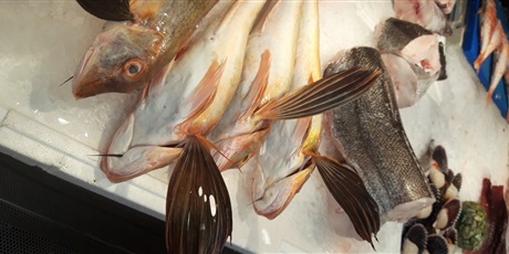 Powiększ grafikę: ryby w lokalnej hali targowej 