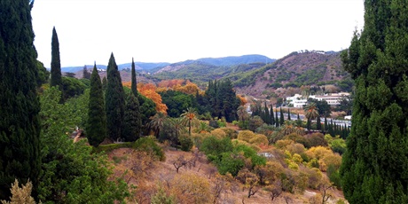 Powiększ grafikę: widok na wzgórze pokryte roślinnością w Ogrodzie Botanicznym, w tle wzgórza  otaczające Malagę