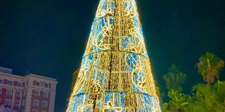 Powiększ grafikę: ozdoby świąteczne w Maladze - choinka na głównym placu 