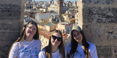 Powiększ grafikę: fotogaleria-projektu-erasmus-2024-1-pl01-ka121-vet-000214135-ksztalcimy-sie-zawodowo-w-hiszpanii-647227.jpg