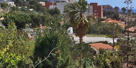 Powiększ grafikę: fotogaleria-projektu-erasmus-2024-1-pl01-ka121-vet-000214135-ksztalcimy-sie-zawodowo-w-hiszpanii-647243.jpg