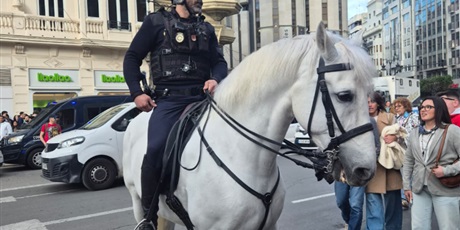 Powiększ grafikę: Las Fallas