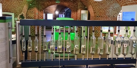 Powiększ grafikę: Klasa 2m w Hevelianum.